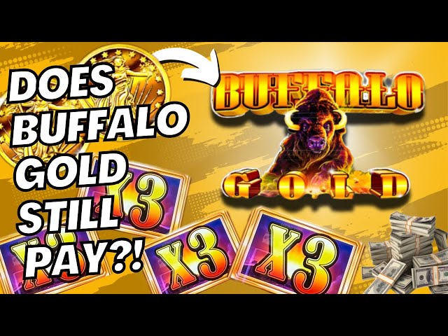 Can we hit it big on Buffalo Gold still? Live Slot Play at the Casino