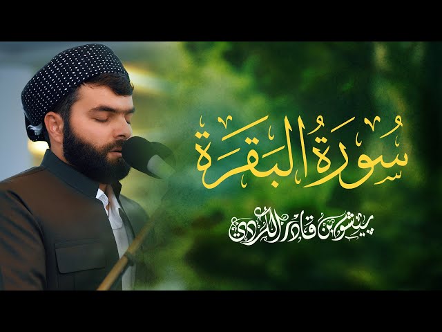 سورة البقرة كاملة - بيشةوا قادر الکردي | Surah Al Baqarah - Peshawa Kurdi