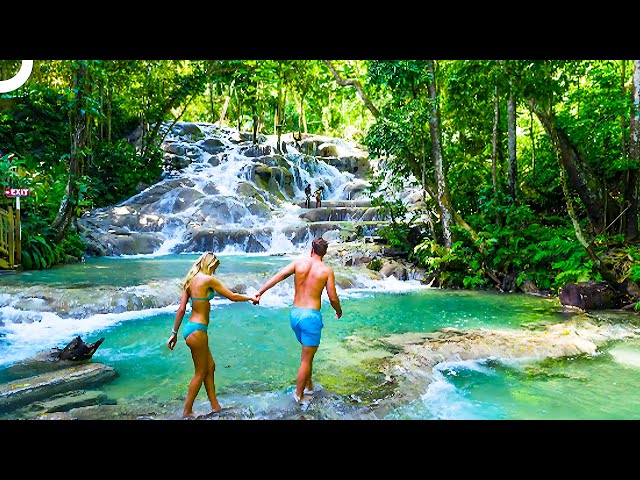 Jamaica Is Like A Piece Of Heaven 😯 | Miracles Of Nature