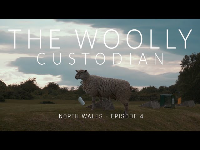 The Woolly Custodian - Holywell Golf Club - Episode 4