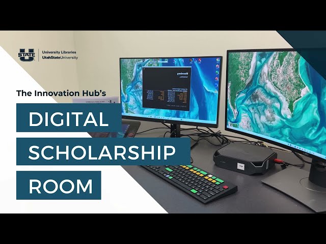 Digital Scholarship in the Innovation Hub