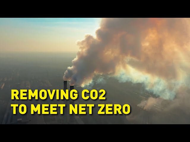 How is carbon dioxide being removed from the atmosphere?