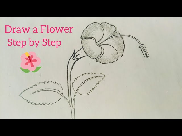 Easy to draw Hibiscus Flower Step by Step || China Rose || Hibiscus Flower Easy drawing