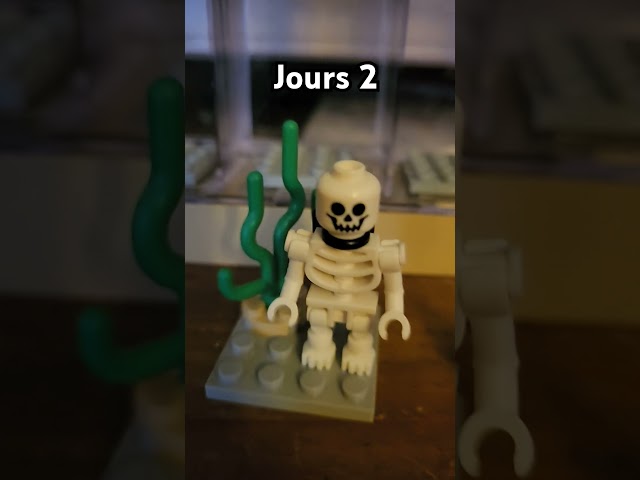 Jours 2 lego figurines