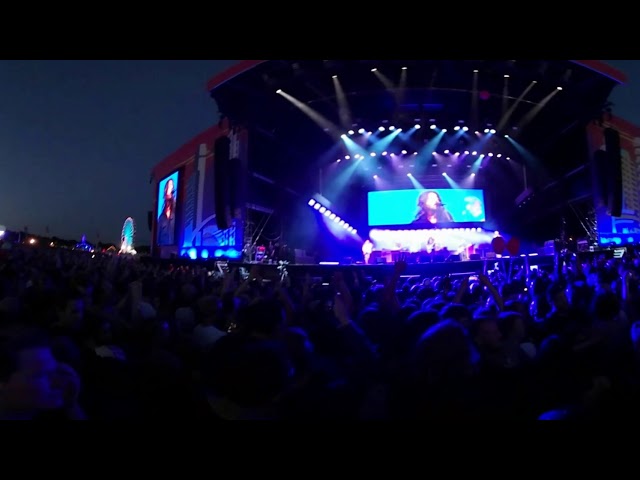 Learn to fly, Foo Fighters at Lollapalooza