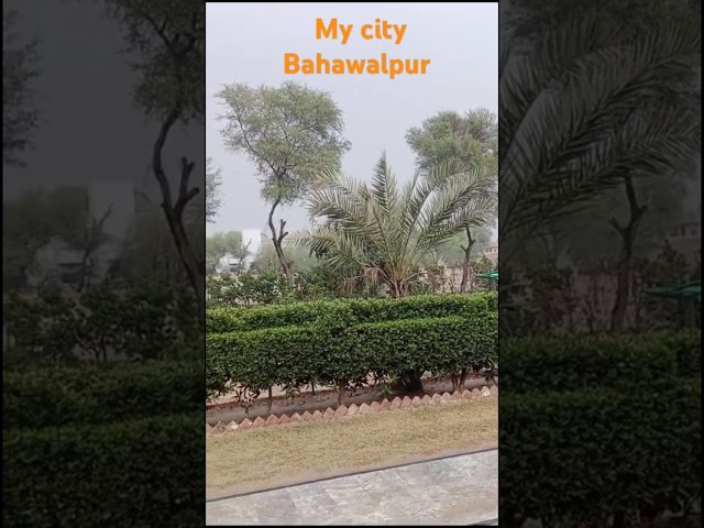 Weather view #myfirsttimeinmylifevlog #minivlog  #arainydayinmylife#weatherupdatetoday #beauty