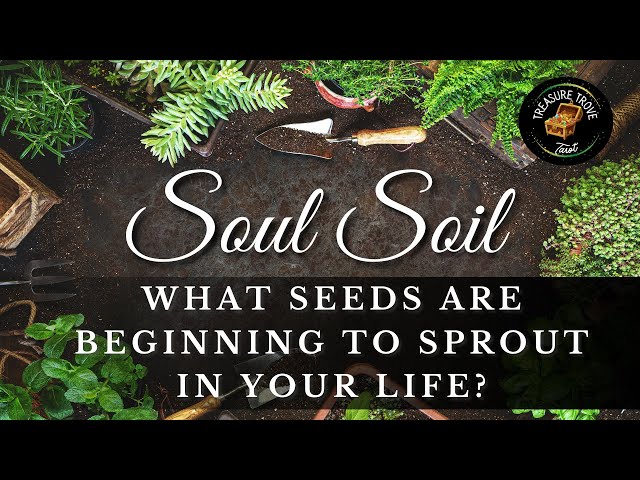 WHAT'S GROWING IN YOUR LIFE? Timeless Tarot Card Reading | The SOUL SOIL of Your Garden