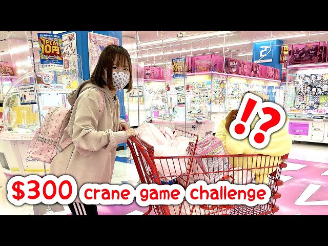 JAPAN $300 CRANE GAME CHALLENGE