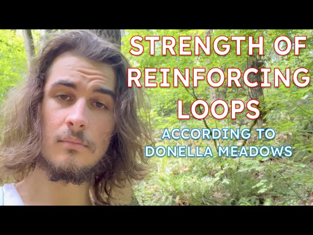 Leverage Point 7: Strength of Reinforcing Loops || Systems Theory