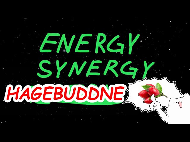 energy synergy hagebuddne