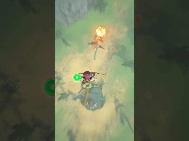 Slicing through hinox #zelda #zeldabotw #gamer #gaming #videogame #tearsofthekingdom #nintendo #lol