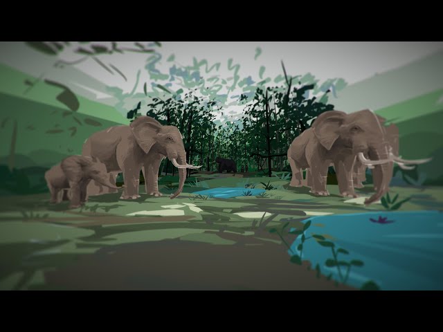 The VR drawing short film  "Animism" in collaboration with World Animal Protection