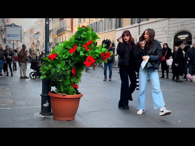 Bushman prank italy.This is so funny