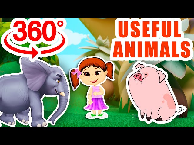 The Most Useful Animals to Humankind! Part2! 360° Video! VR! Getting Ready for School! Learn Names