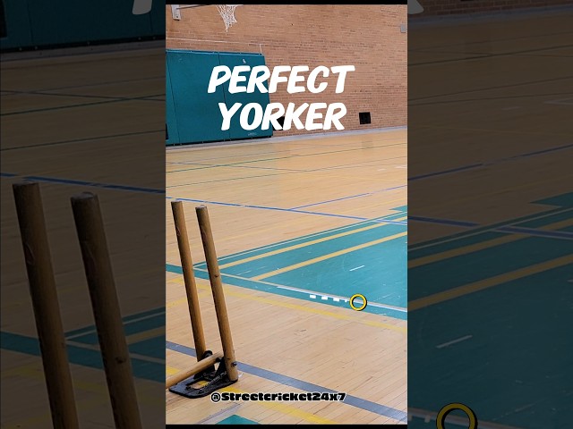 PERFECT YORKER #tapeballcricket