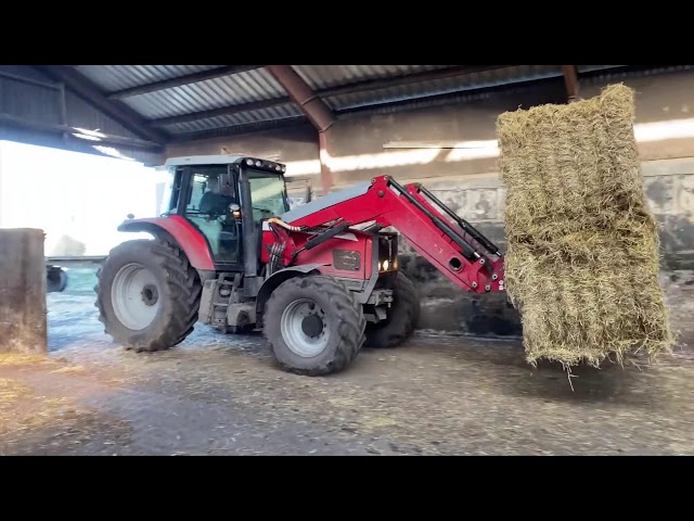 A Day on the Farm | Beautiful Views and Hard Work on a Dairy Farm