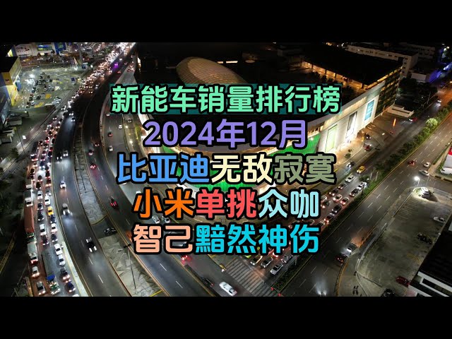 新能车销量榜｜2024年12月 比亚迪无敌寂寞 小米单挑众咖 智己黯然神伤