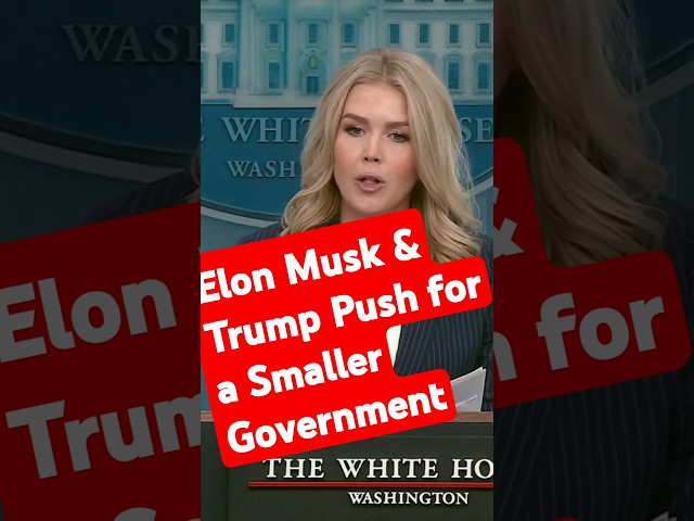 Elon Musk & Trump Push for a Smaller Government