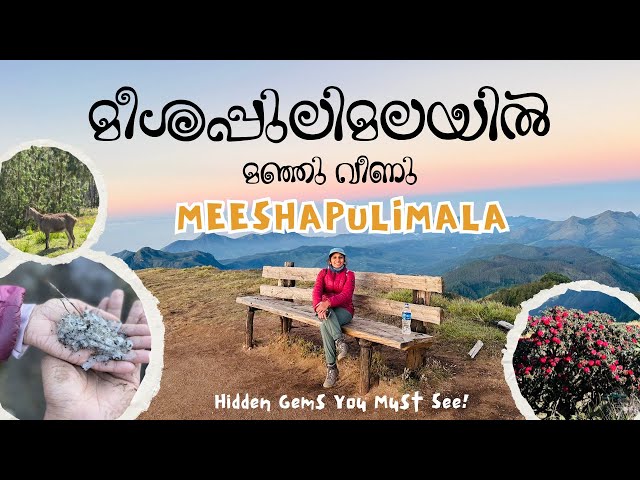 Meeshapulimala India's Hidden Gem | Snow in Kerala | മീശപ്പുലിമലയിൽ പെയ്ത മഞ്ഞ് | Highest mountain