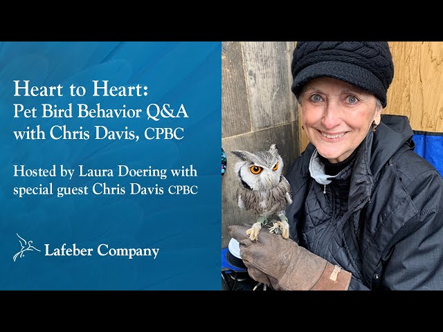 Heart to Heart, Episode 1: Pet Bird Behavior with Chris Davis