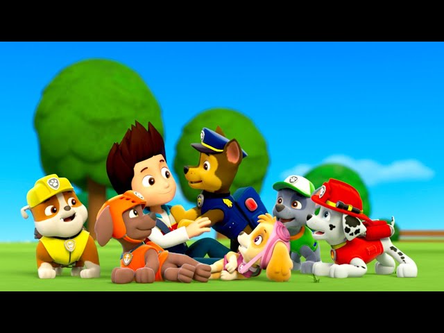 Paw Patrol - WildBrain Toons | Live 🔴 | Cartoons for Kids 24/7