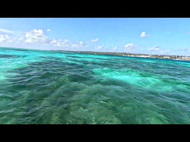 Plus Ultra San Andrés Boat Tour