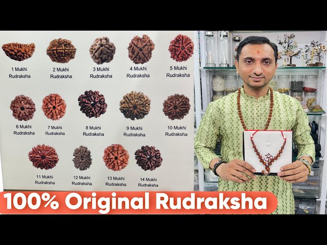 Benefits of wearing or carrying Rudraksha/Before wearing Rudraksha you must watch this video first