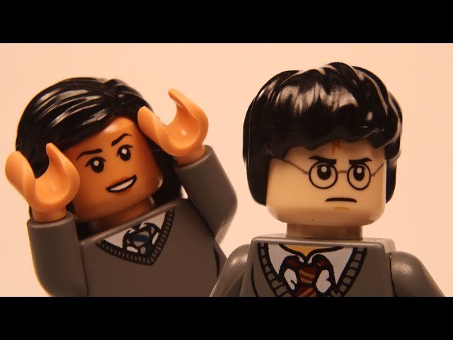 Lego Harry Potter and the Stupid Skank