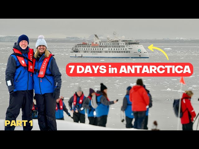 7 Days in Antarctica -  the ULTIMATE Expedition Cruise