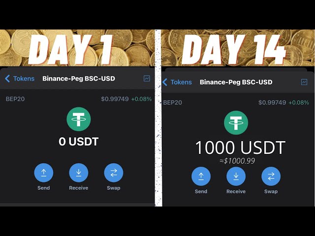 from $0 To  $1000 in  14 days  fast