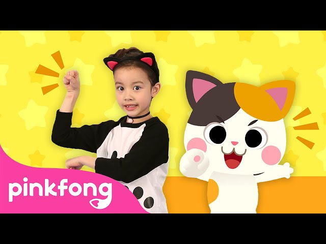 Kitty Song More and More | Baby Kitty | Ninimo | Meow Meow | Pinkfong Baby Shark Kids Song