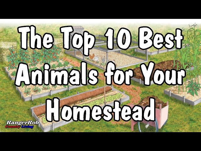 The Top 10 Best Animals for Your Homestead | RangerRob Country Living