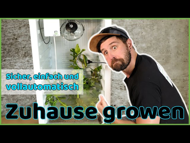 Fully automated grow box for home | New era of plant cultivation