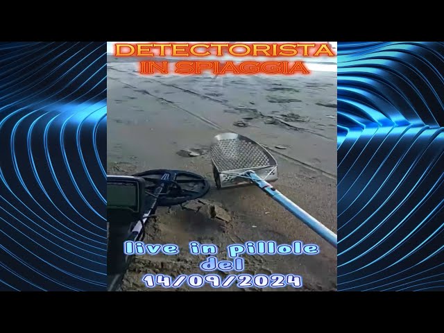 DETECTORISTA IN SPIAGGIA - LIVE IN PILLOLE TRASMESSA IL 14 SETTEMBRE 2024 SU TIKTOK