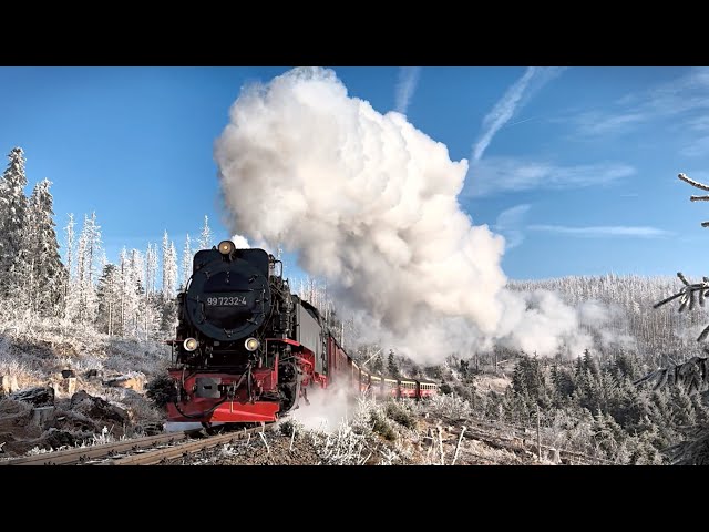 Harz Mountain Steam February 2025 (including out of service locos!)