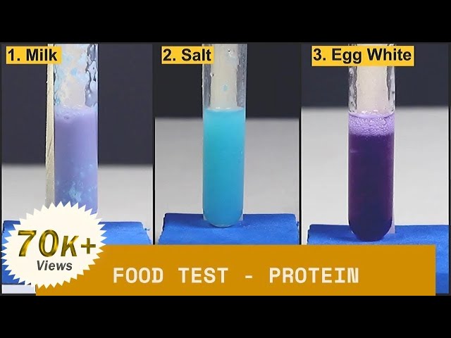 Food Test - Protein | ThinkTac