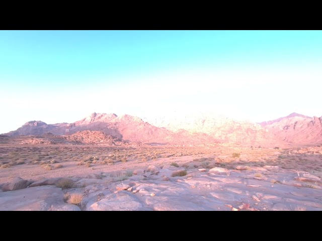 Mt. Sinai 3D