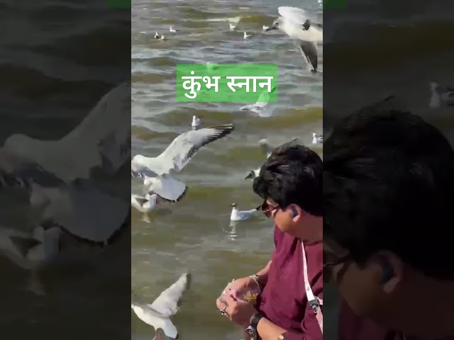 प्रयागराज कुंभ मेला