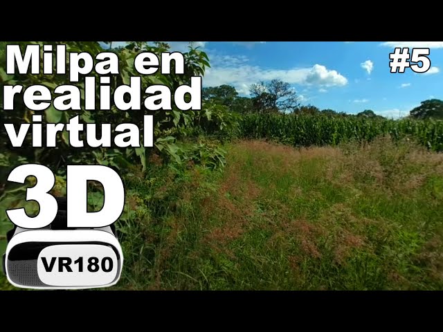 Milpa en realidad virtual | Episodio #5