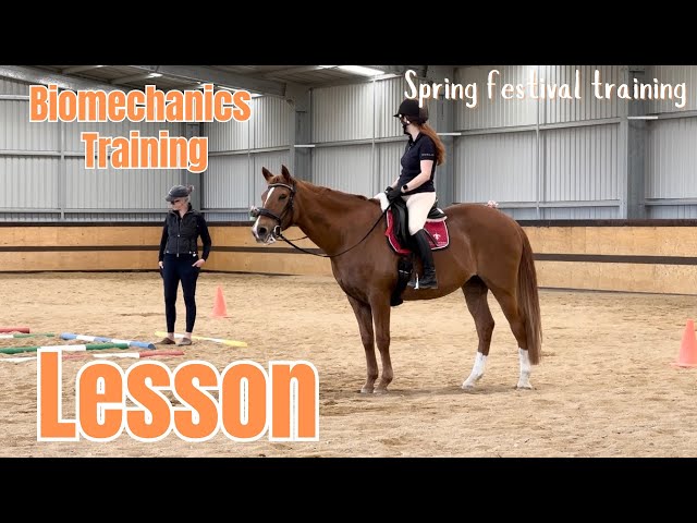 Dressage Training 💪🏻 | biomechanics riding lesson #horseenthusiast #equestrian #horsefan #horse