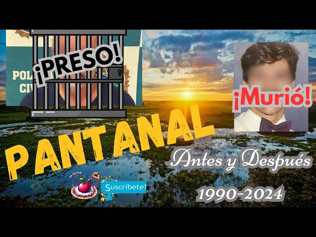 🌿✨PANTANAL: ANTES Y DESPUES 🌿✨