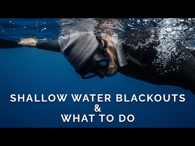 If a Freediver Blacks Out Underwater you NEED to Know This!!!