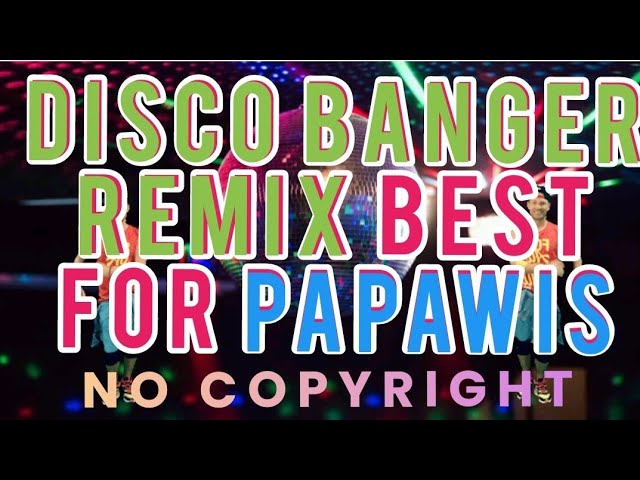 DISCO BANGER REMIX BEST FOR PAPAWIS