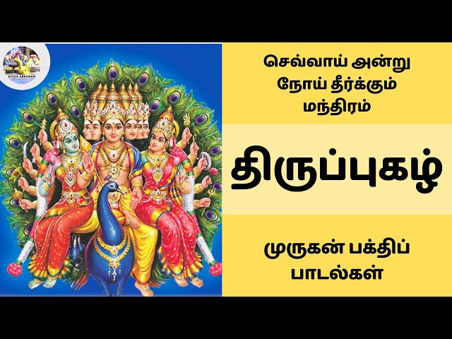 நோய் தீர்க்கும் திருப்புகழ் 🦚 செவ்வாய் அன்று கேட்க வேண்டிய முருகன் பக்திப் பாடல்கள் 🐓 #thiruppuga