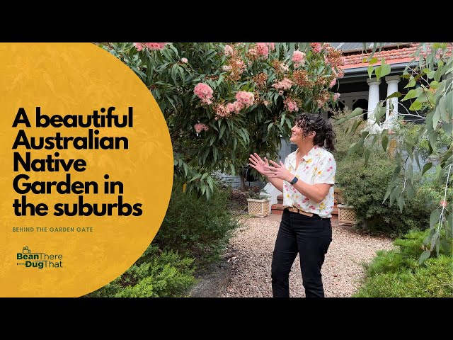 A low maintenance garden design using Australian native plants | Behind the Garden Gate