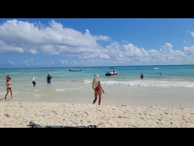 The best beaches in Playa del Carmen Quinta Avenida offers all types of temptations Walking Tour 4k