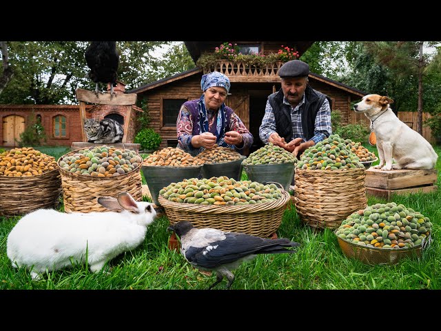 Harvesting and Baking with Fresh Almonds: A Village Tradition