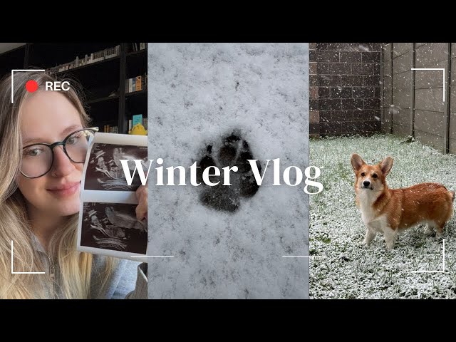 Winter Vlog | Pregnancy Announcement