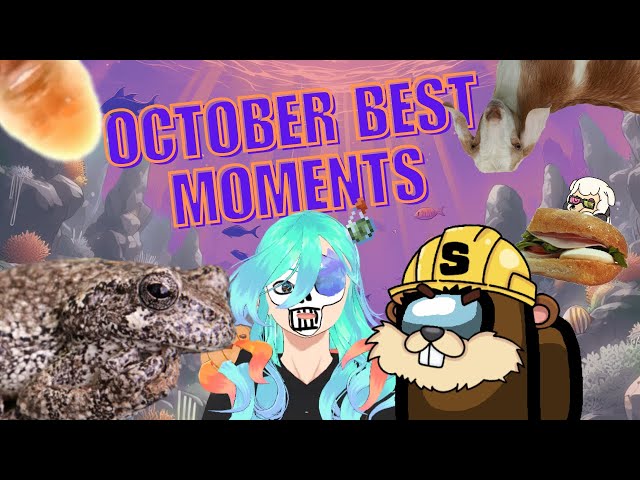 Zeta's October Best Moments