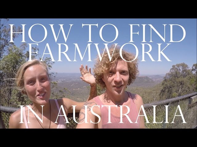 HOW TO FIND FARM WORK IN AUSTRALIA - WORK AND TRAVEL AUSTRALIA - TIPS / GUIDE FOR YOUR ADVENTURE